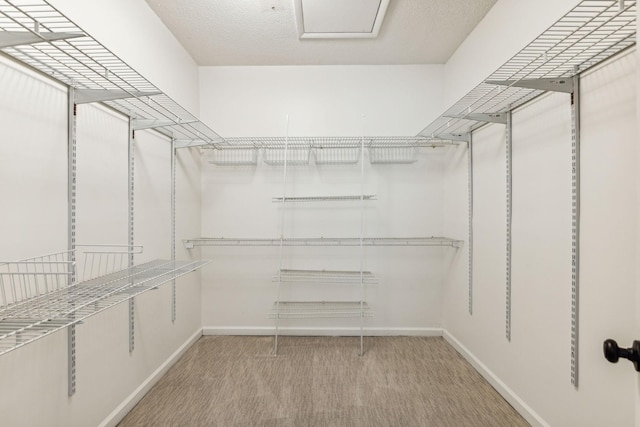 view of spacious closet