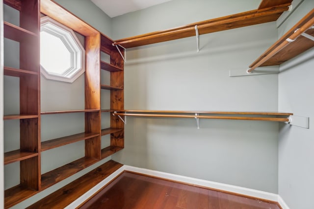 walk in closet with hardwood / wood-style flooring