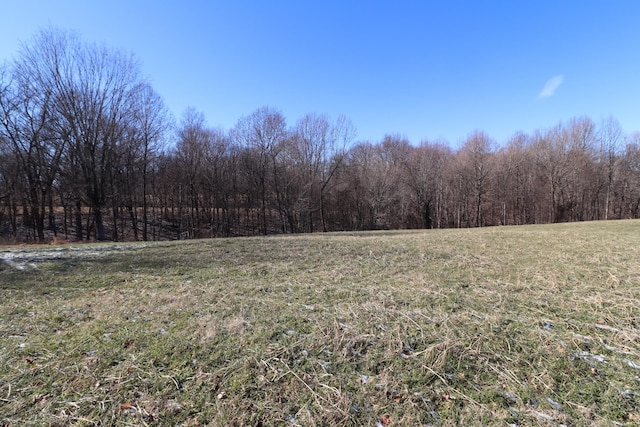 1 Horton Ln, Lafayette TN, 37083 land for sale