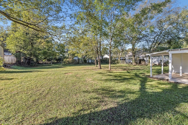 view of yard featuring a patio area