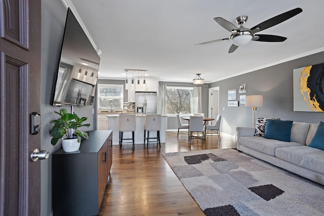 living room featuring crown molding, wood-type flooring, and ceiling fan