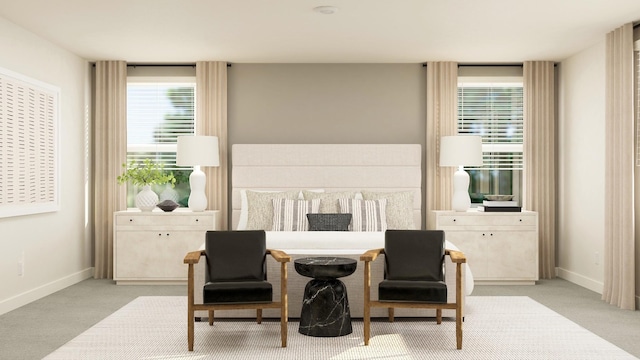 sitting room with light carpet and a wealth of natural light