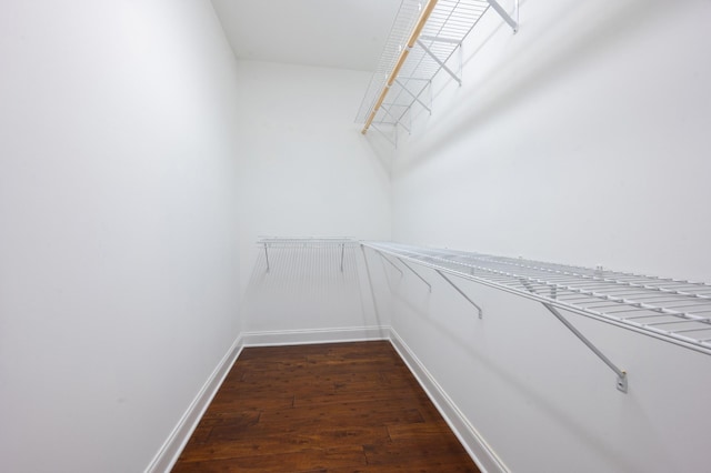 spacious closet featuring dark wood-type flooring