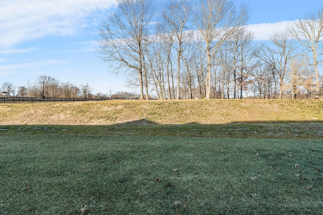 view of yard featuring a rural view