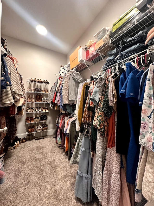 walk in closet featuring carpet floors