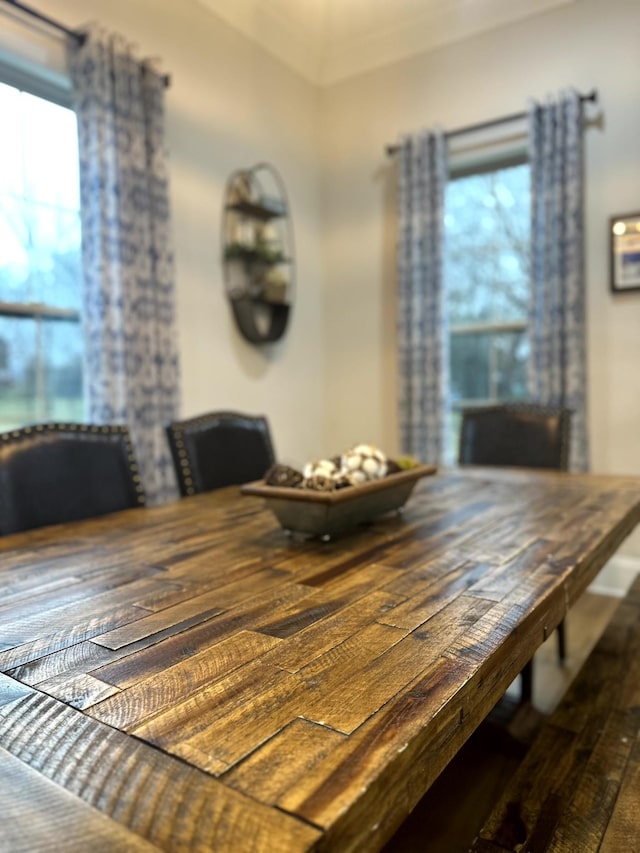 dining room featuring dark wood-type flooring