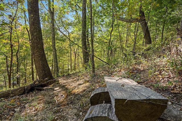 view of local wilderness