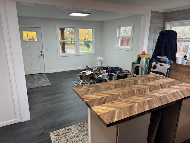 kitchen featuring dark wood-type flooring