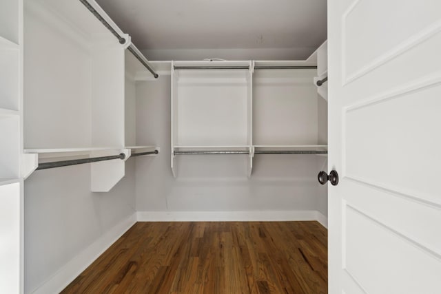 walk in closet featuring wood finished floors