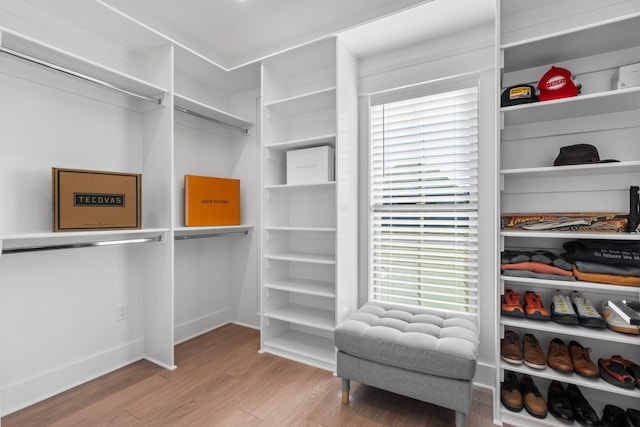 walk in closet featuring hardwood / wood-style floors