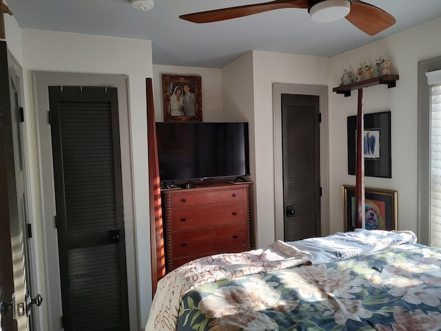 bedroom with ceiling fan