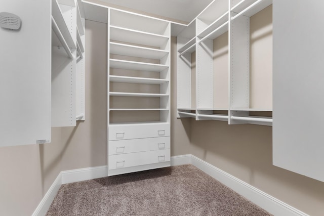 spacious closet with carpet