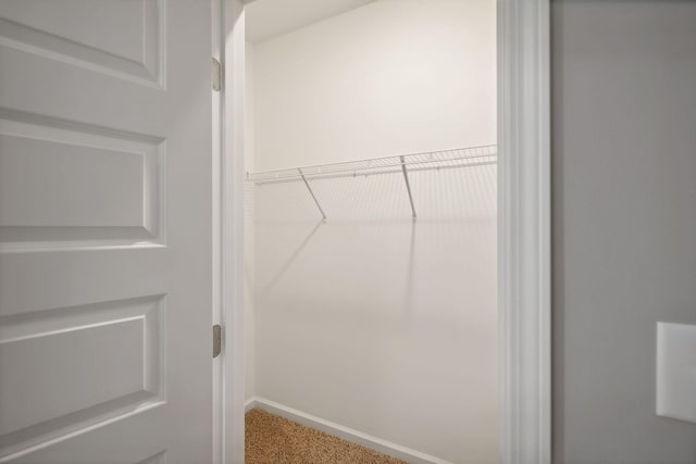 walk in closet with carpet floors