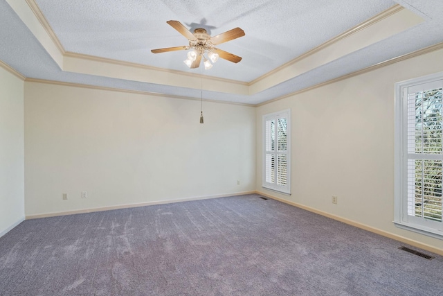 empty room featuring carpet, a wealth of natural light, and a raised ceiling