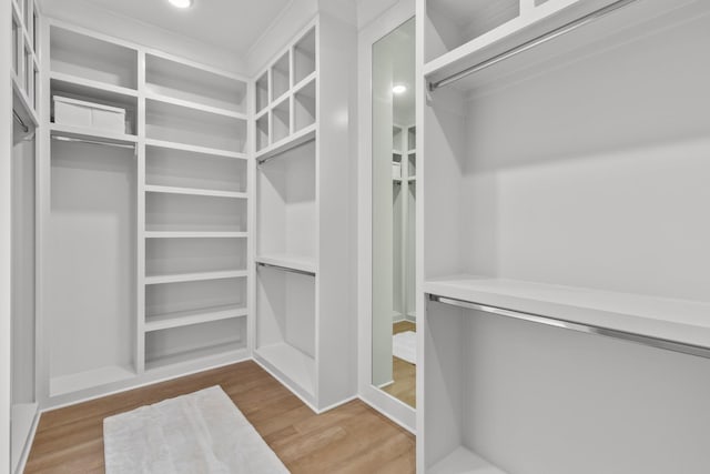 walk in closet with hardwood / wood-style flooring