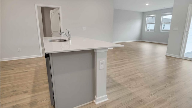 kitchen featuring sink and light hardwood / wood-style flooring