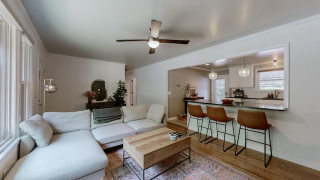 living room featuring wood-type flooring, sink, ceiling fan, and ornamental molding