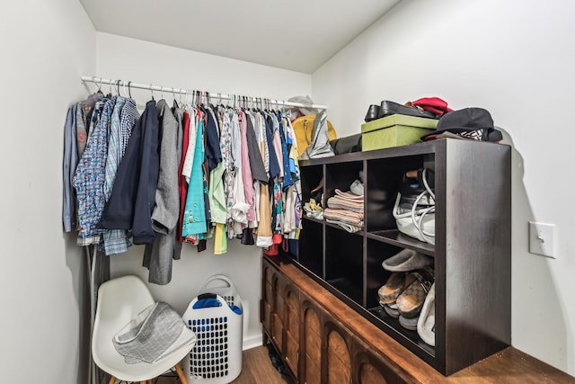 spacious closet featuring wood-type flooring