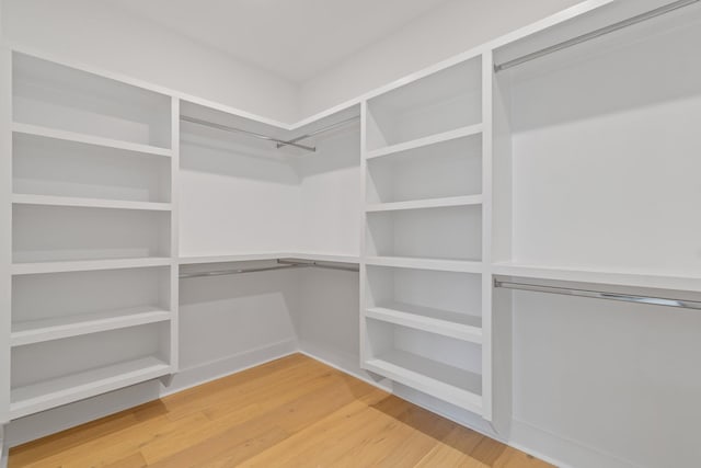 walk in closet featuring wood-type flooring