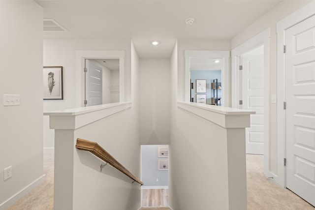 staircase featuring carpet flooring