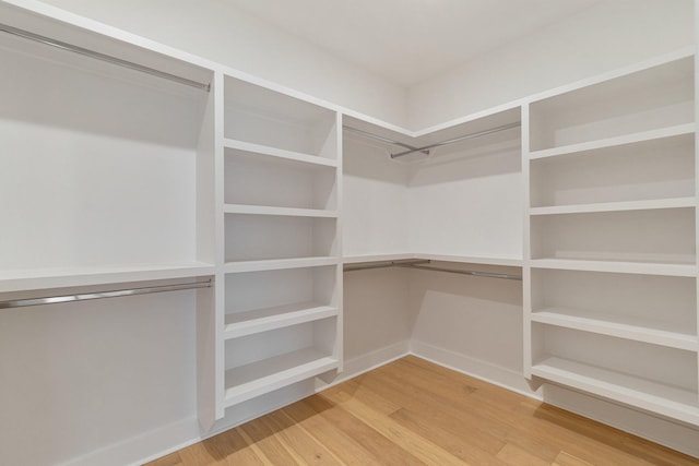 walk in closet featuring hardwood / wood-style flooring