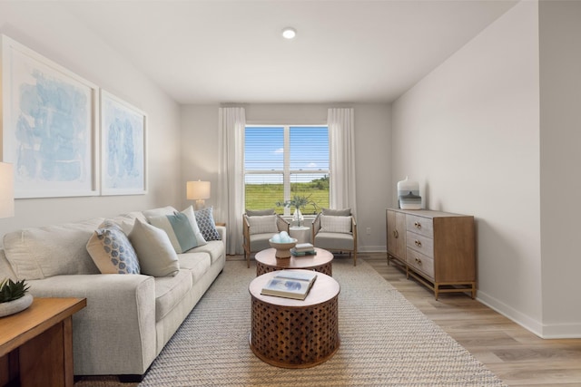 living room featuring light hardwood / wood-style floors