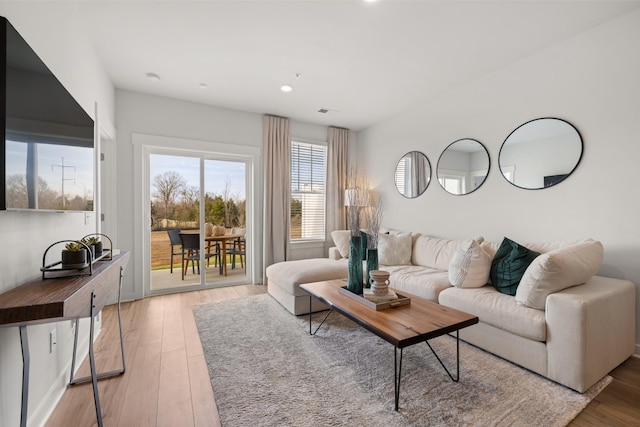 living room with wood-type flooring