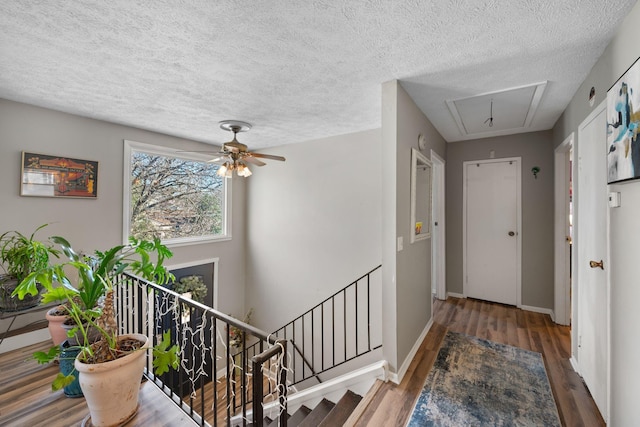 hallway with hardwood / wood-style floors and a textured ceiling