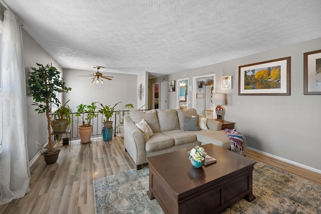 living room with wood-type flooring, a textured ceiling, and ceiling fan