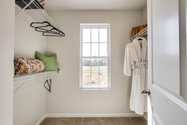 walk in closet with carpet flooring