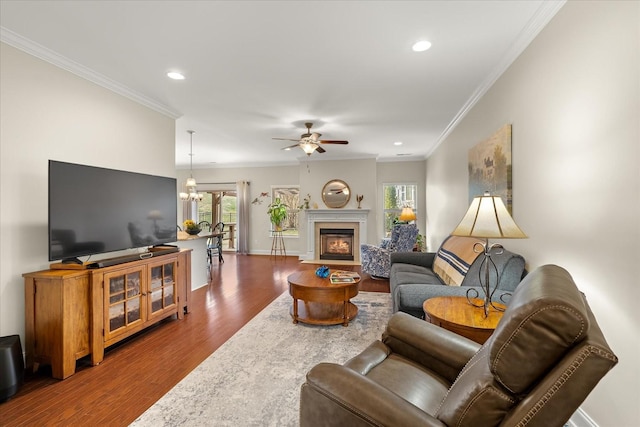 living room with ceiling fan with notable chandelier, crown molding, and wood-type flooring