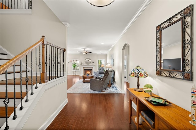 interior space featuring ceiling fan, hardwood / wood-style floors, and ornamental molding