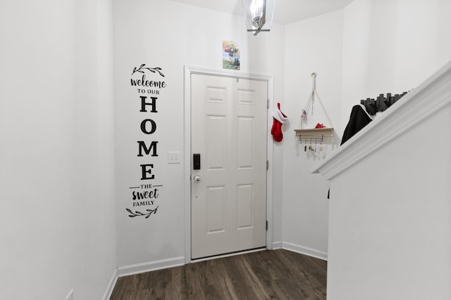 entrance foyer with dark wood-type flooring