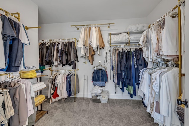 spacious closet with carpet