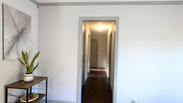 corridor featuring crown molding and dark hardwood / wood-style floors