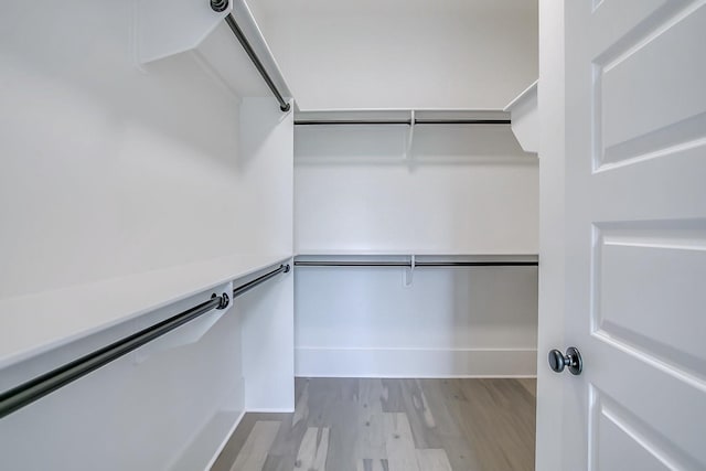 spacious closet featuring light wood-type flooring