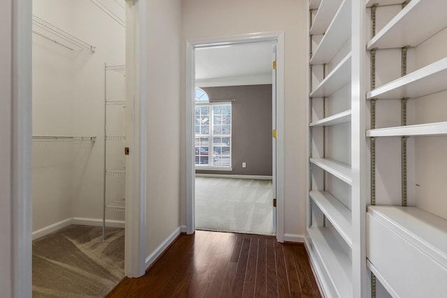 walk in closet featuring dark wood-type flooring