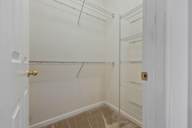 spacious closet with carpet floors