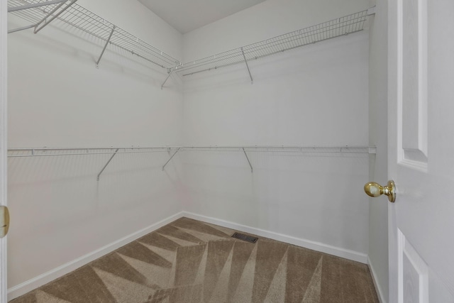 spacious closet featuring carpet flooring