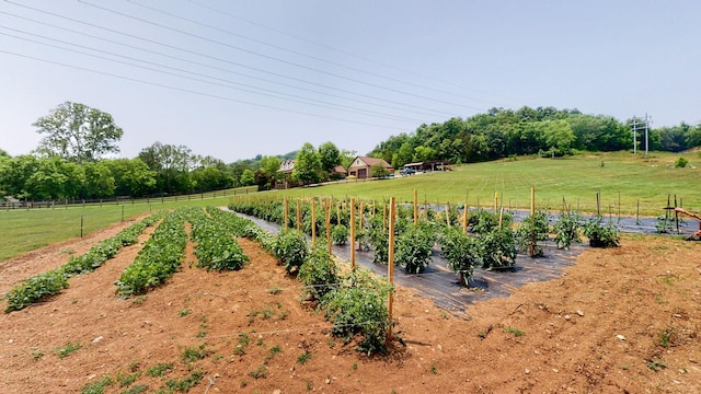 view of yard with a rural view