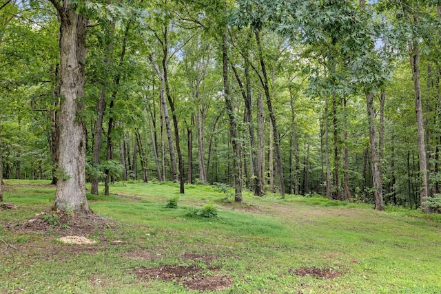 view of landscape