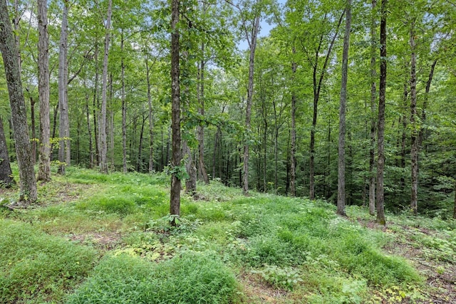 view of landscape