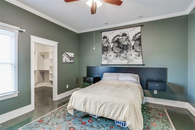 bedroom featuring ceiling fan, a closet, a walk in closet, and ornamental molding