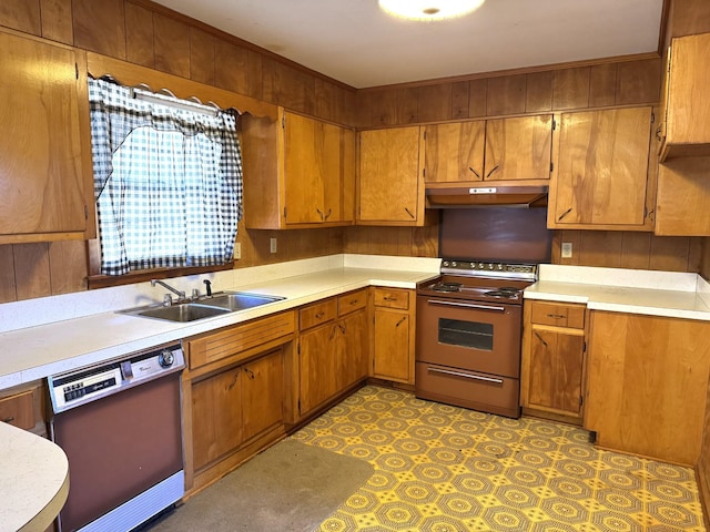 kitchen with stove, sink, and dishwasher