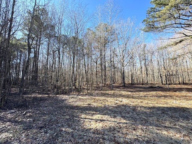 view of local wilderness