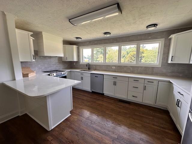 kitchen with dark hardwood / wood-style flooring, dishwashing machine, white cabinetry, electric stove, and wall chimney range hood