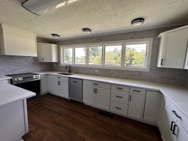 kitchen featuring white cabinets, a wealth of natural light, appliances with stainless steel finishes, and sink