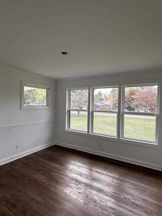 empty room featuring dark hardwood / wood-style flooring