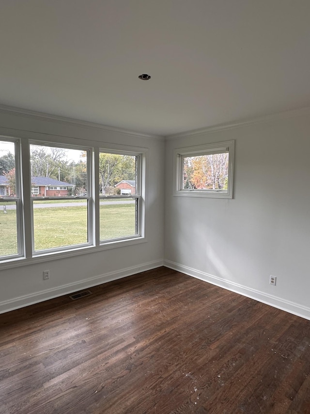 spare room featuring dark wood-type flooring and crown molding