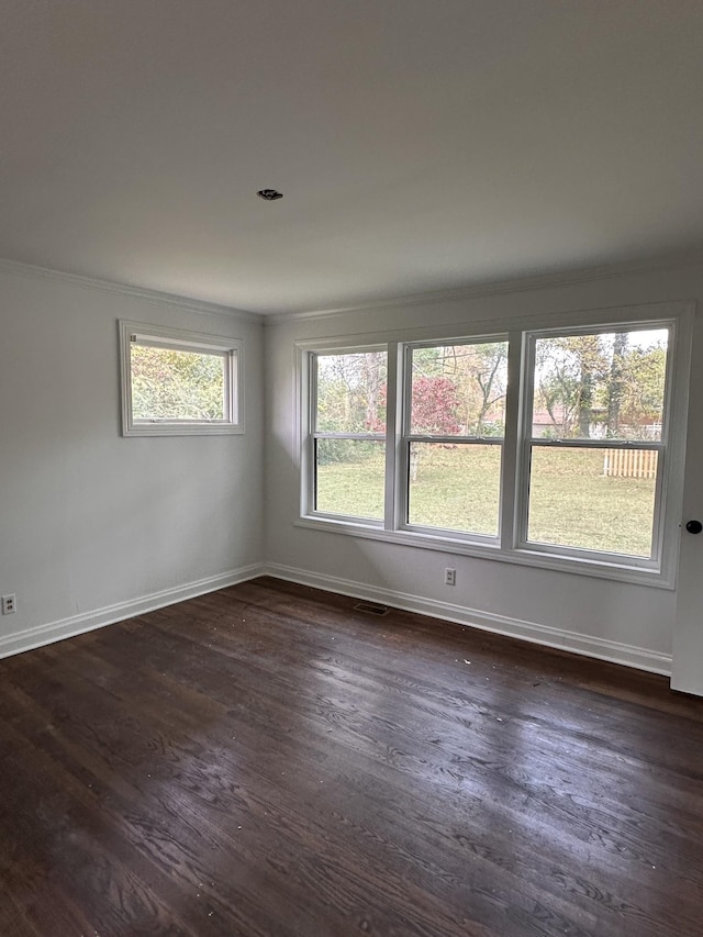 empty room featuring a wealth of natural light and dark hardwood / wood-style flooring